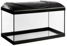 Top 10 Der Besten Aquarien 2026