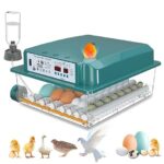 Top 10 der besten Brutkästen 2026