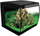 Top 10 Der Besten Aquarien 2026