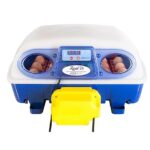 Top 10 der besten Brutkästen 2026