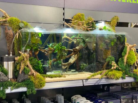 10 Der Besten Aquarien 2025