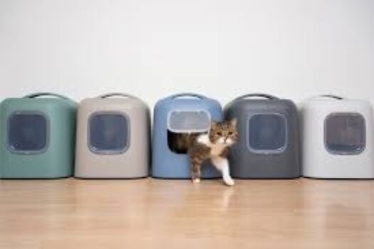 10 Der Besten Katzentoiletten 2025