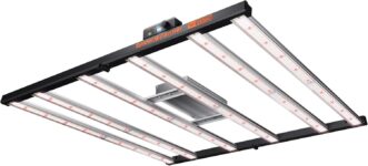 Top 10 Der Besten Wachstumslichter 2026