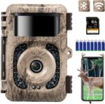 Top 10 Der Besten Wildtierkameras 2026