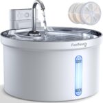 Top 10 Der Besten Trinkbrunnen für Katzen und Hunde 2026