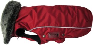 Top 10 Der Besten Hundemäntel 2026